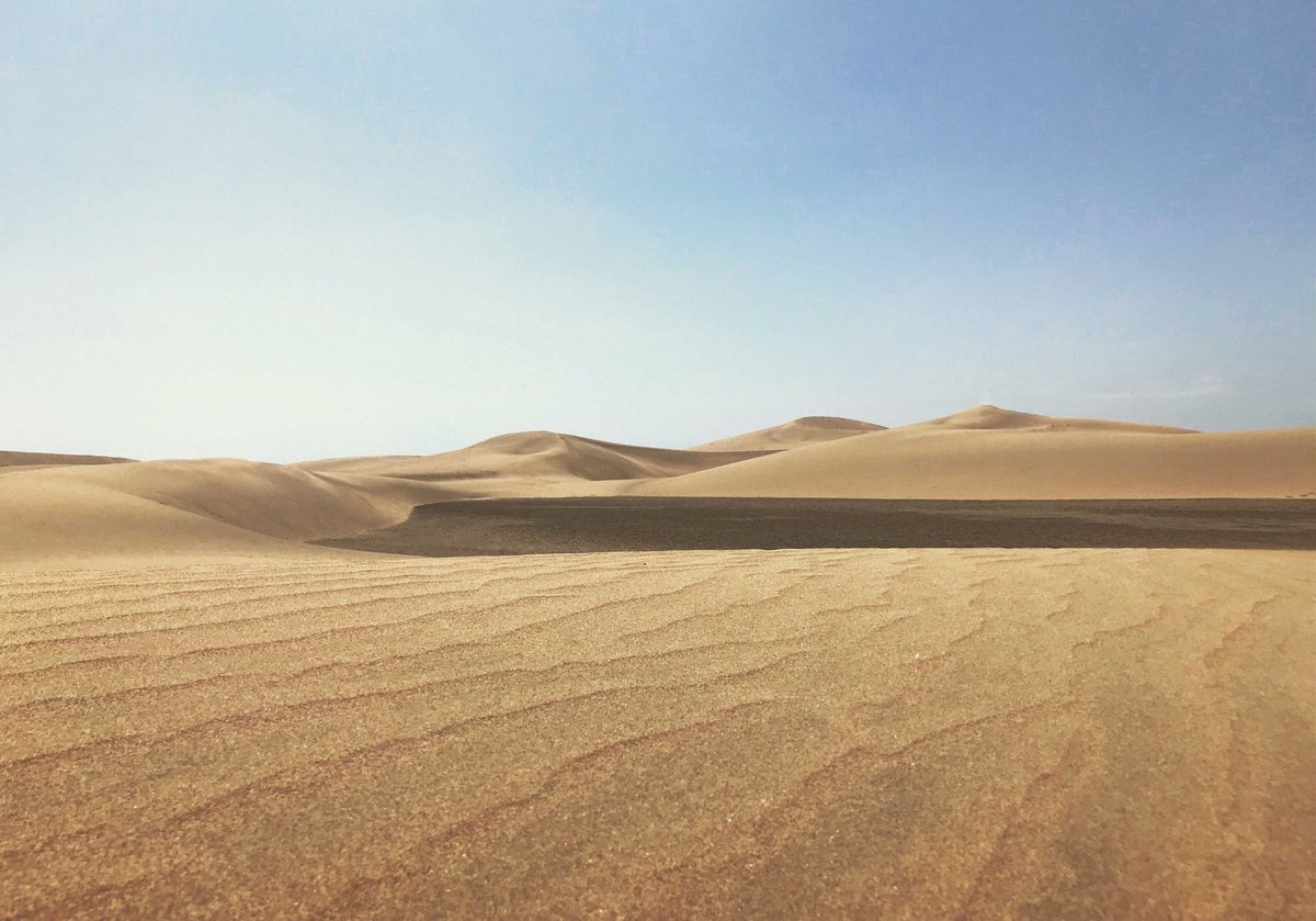 Sand dunes stretching to the horizon