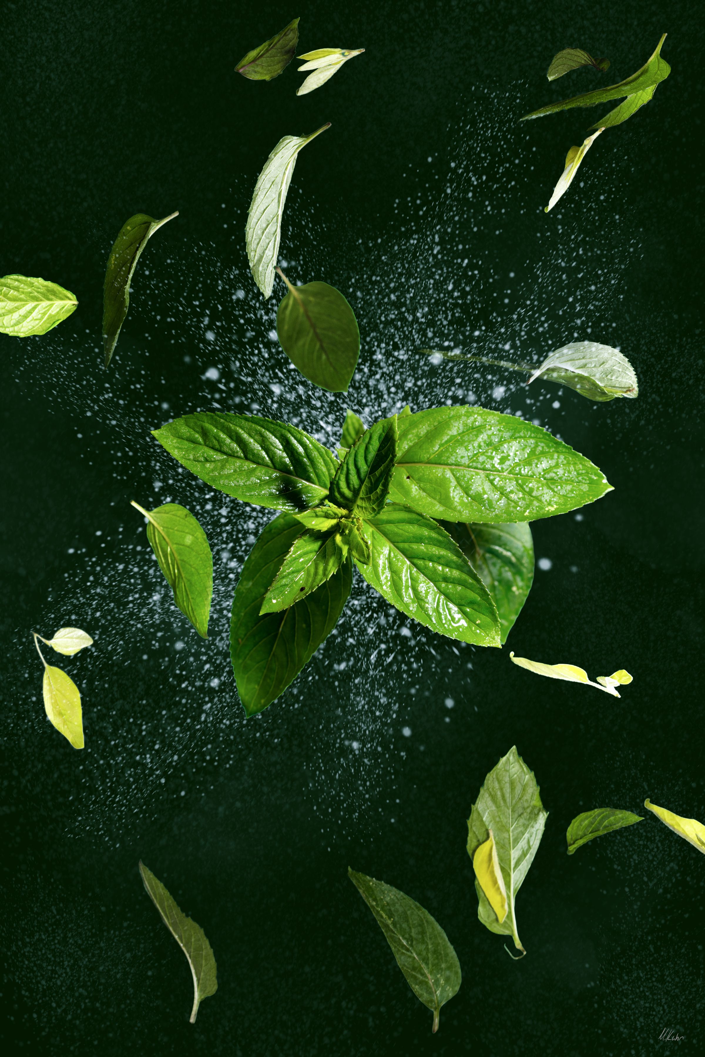 Creative product photography with fresh herbs and water droplets