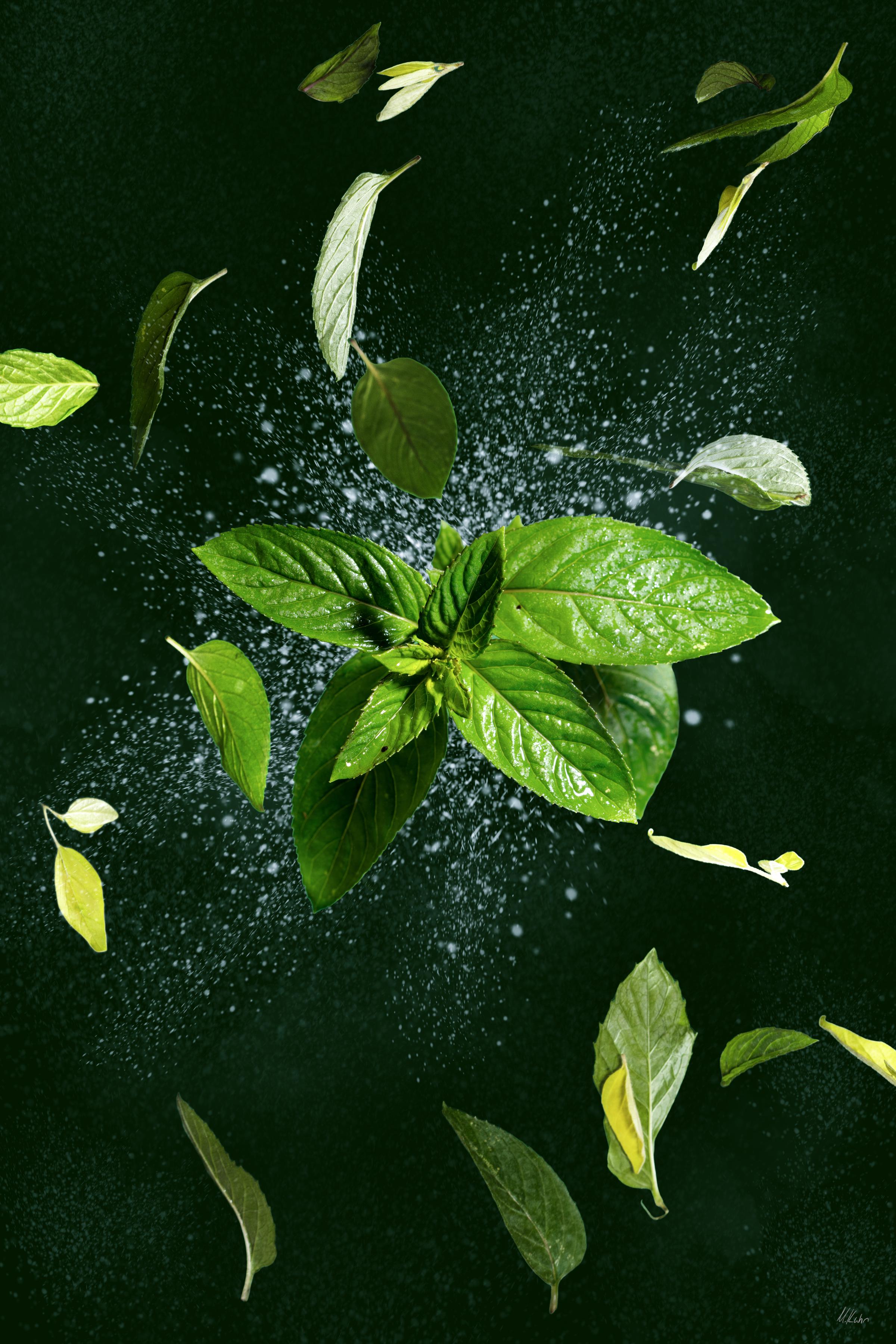 Creative product photography with fresh herbs and water droplets