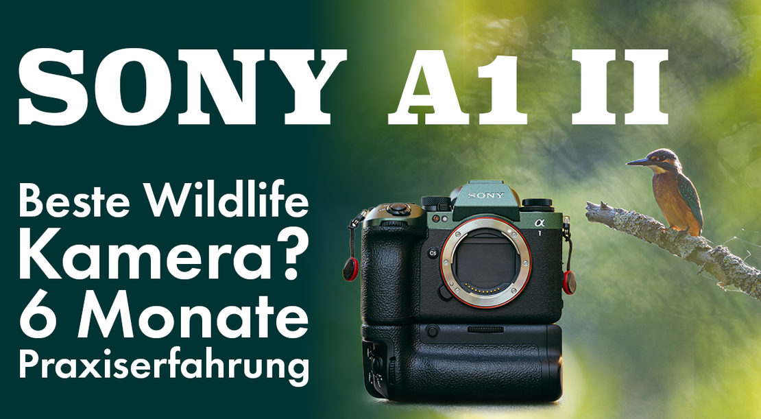 Sony A1 II Wildlife Test (2026): 6 Monate AF, Serienbilder & Dynamikumfang
