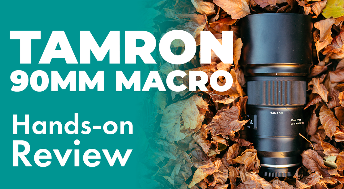 Tamron 90mm F/2.8 Di III MACRO VXD Test (Sony FE) – Das beste Makro-Objektiv für unter CHF 1000?