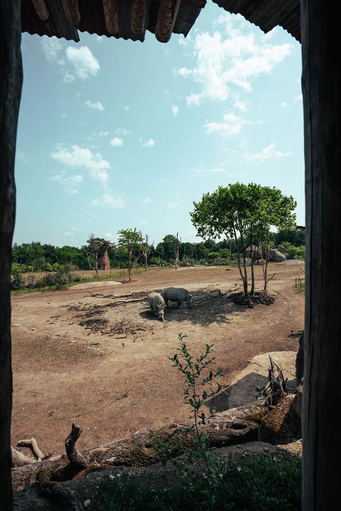 _A124508-Blog-smotographers.com.jpg