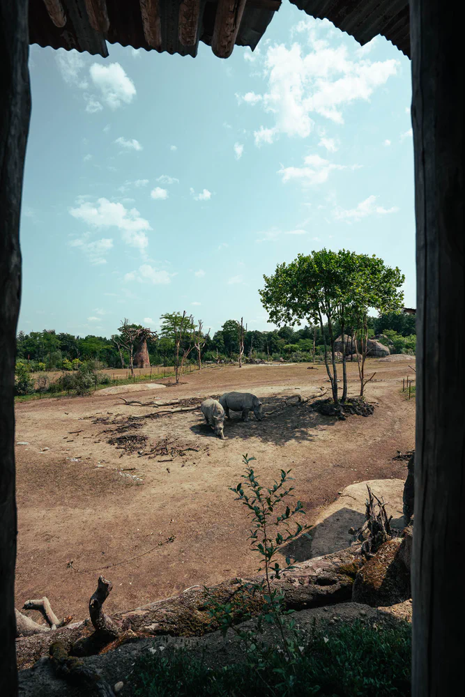 _A124508-Blog-smotographers.com.jpg