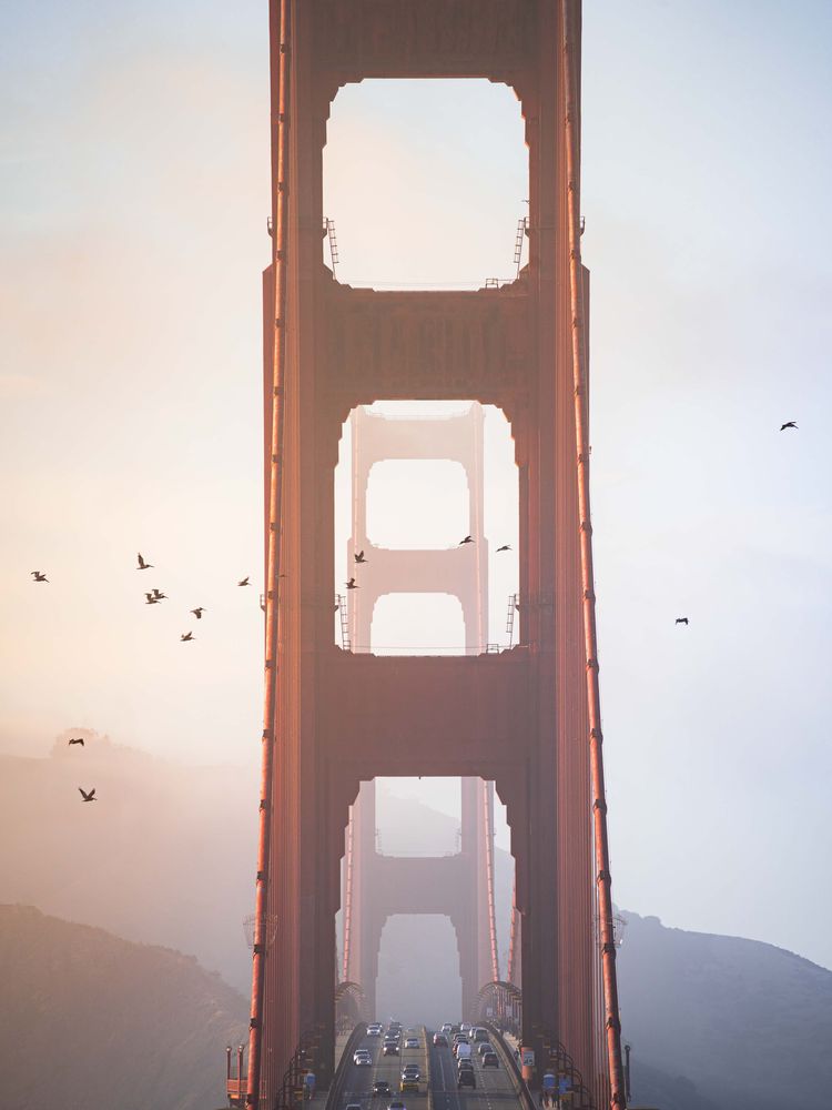 sf-gbridge-Website.jpg