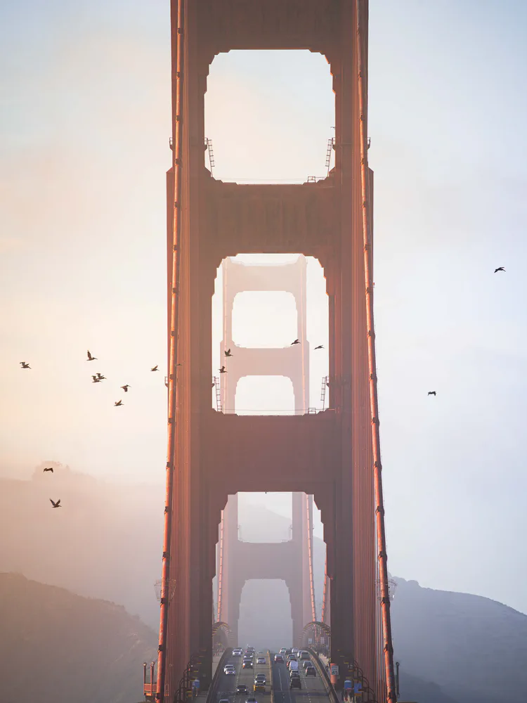 sf-gbridge-Website.jpg