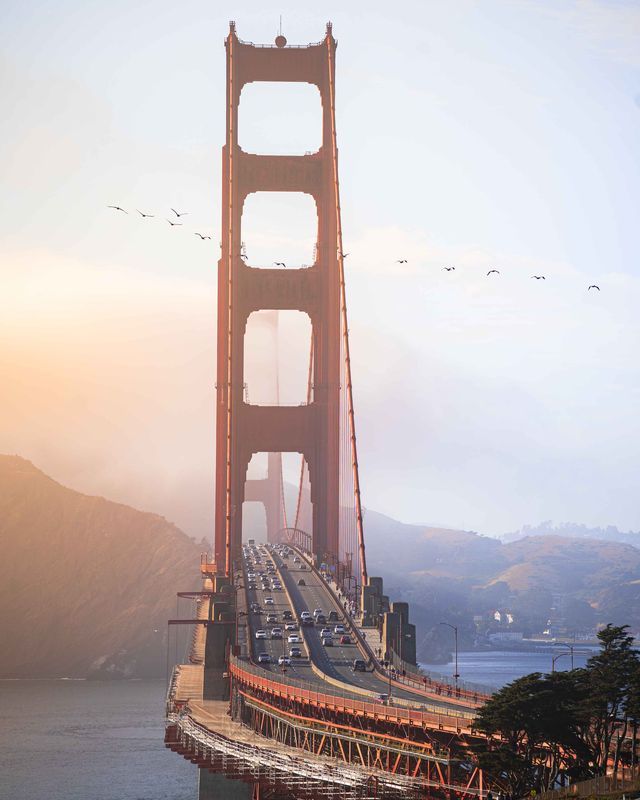 sf gbridge, Website-2.jpg