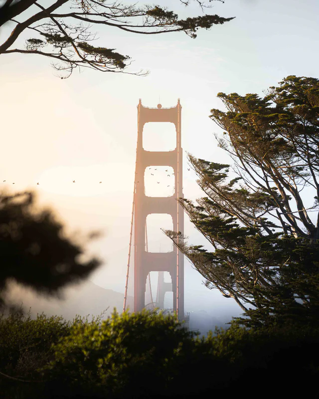 sf gbridge, Website-3.jpg
