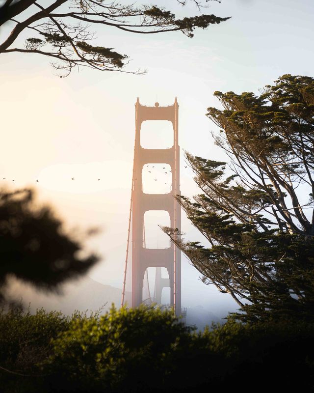 sf gbridge, Website-3.jpg
